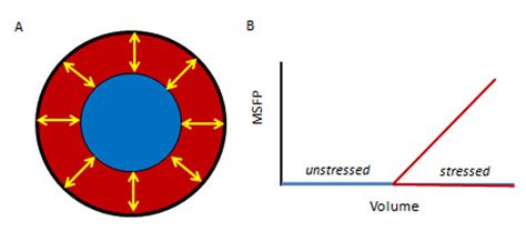 lv unstressed volume|unstressed volume meaning.